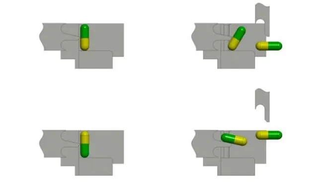 capsule orientation process